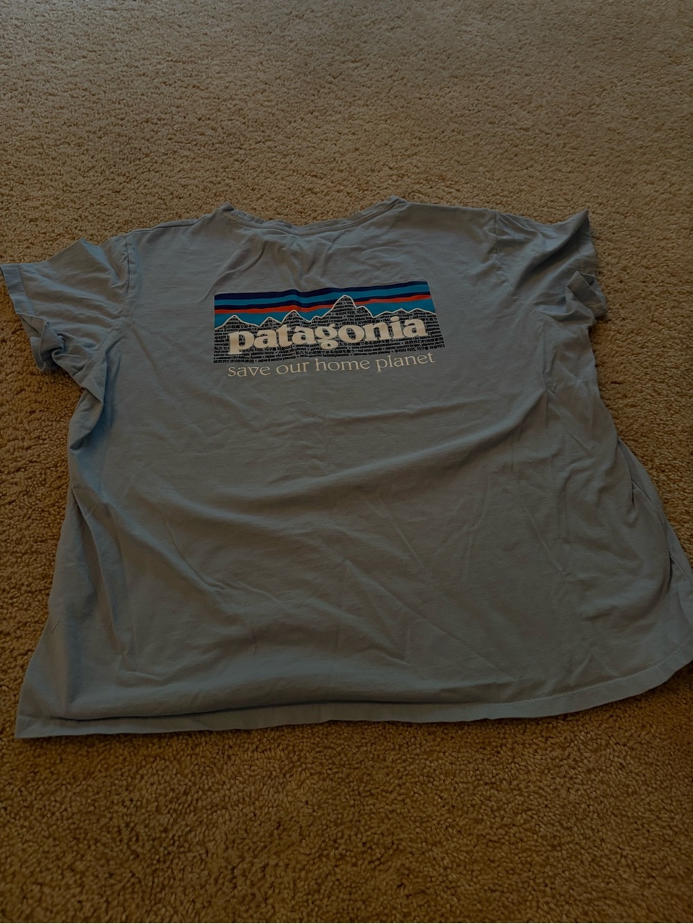 Patagonia Light Blue Kids' Short Sleeve Tee with Mountain Graphic